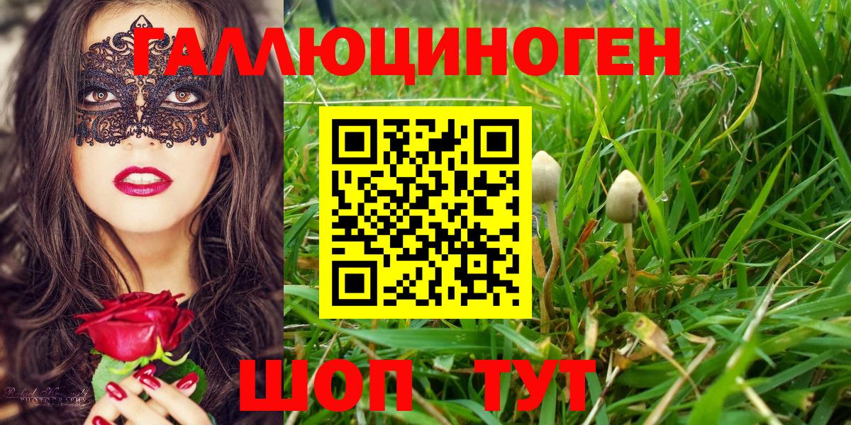 даркнет сайт  Псилоцибиновые грибы Psilocybe  Вход с VPN  Псилоцибиновые грибы ЛСД  Нефтеюганск 